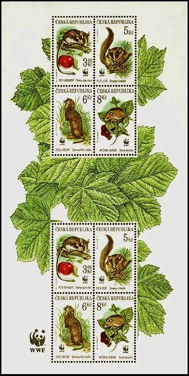 WWF Ochrona przyrody - ssaki chronione