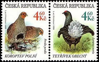 Zagrożone zwierzęta