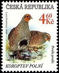 Zagrożone zwierzęta