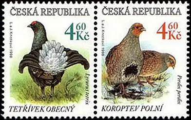 Zagrożone zwierzęta