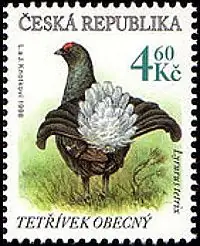 Zagrożone zwierzęta