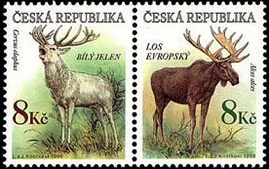 Zagrożone zwierzęta