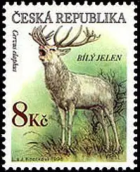 Zagrożone zwierzęta