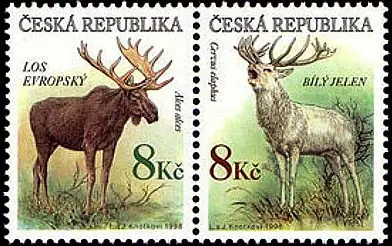 Zagrożone zwierzęta