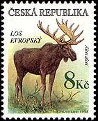 Zagrożone zwierzęta