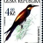 Zagrożone zwierzęta