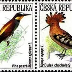 Zagrożone zwierzęta