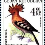 Zagrożone zwierzęta