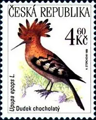 Zagrożone zwierzęta