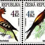 Zagrożone zwierzęta