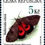 Zagrożone zwierzęta