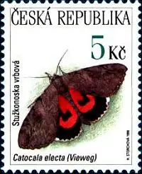 Zagrożone zwierzęta