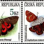 Zagrożone zwierzęta