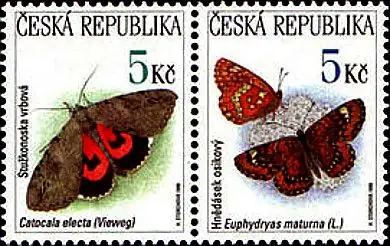 Zagrożone zwierzęta