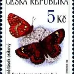 Zagrożone zwierzęta