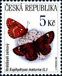 Zagrożone zwierzęta