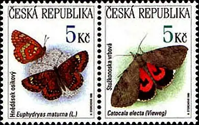 Zagrożone zwierzęta